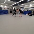골드레슬링 | 레슬링 체육관(골드 레슬링) 후기!