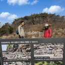 전곡항 공원 | 화성 전곡항 해안산책로 데크길 완벽 가이드, 바다 위 지질 탐방 후기