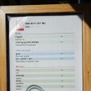 엘마르(El Mar) 이미지