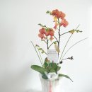 영인한의원 이미지