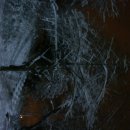 장안면사무소 이미지