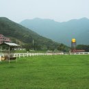 연천승마공원 이미지