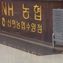 신현세탁소 네이버블로그