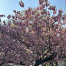 죽도봉화장실 이미지