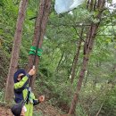 자람어린이집 이미지