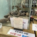 바오밥베이커리카페