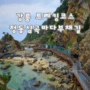 제 184회 정기산행(24.12.07.토) 강릉 괘방산 산행공지 및 좌석 이미지