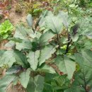 주혜농장 이미지