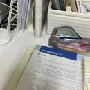 종로-연건-종로-연-417 | 오월 시작했다 오월 끝났다 🎵