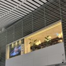 GS25 터미널점 | 인천공항 제2터미널 한식당 자연식당 /출국전 맛있는 한식!