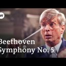 프로이트 『자아와 이드』- 내 안의 3명의 동거인 /재해석/ Ludwig van Beethoven - 'Symphony No. 5' &amp; 이미지