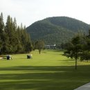 에버그린골프클럽 이미지