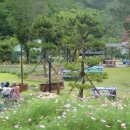 영락농원 -10 이미지