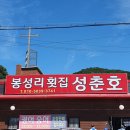 봉성리횟집성춘호 | 김포한강오토캠핑장에서 가을 캠크닉 (A구역 사이트 후기, 봉성리횟집 대하 포장주문)