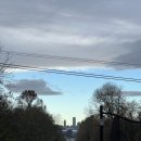 492 | 캐나다 블로그 43 (D+492~515)