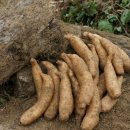 무주천마농장 이미지