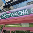 캑티 가챠샵 노원점 이미지