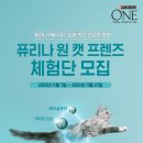 캣프렌즈 이미지