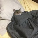 천안매트리스 이미지