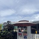 한철 | 제주 빵지순례 백백한철 꽈배기 / 행복밀 솔직직 후기