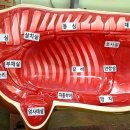 고기정복 이미지