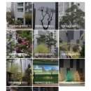 지에스25 공릉해링턴점 | 신혼부부 임장후기 5 노원구 아파트 공릉동 신축 태릉해링턴플레이스 9억대