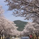 대구근교캠핑장 왜관 하이스트 글램핑장 후기