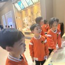 🛰️서대문 자연사 박물관 견학🚀 이미지