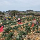 해남복지어린이집 이미지