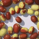 빛 시리즈 이미지