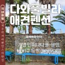주목나무펜션 | 제주 애견동반 펜션 다와풀빌라 애견펜션