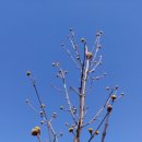 김진순농장 이미지