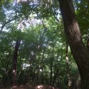 [광주 광산구]광주여대~동자봉~어등산 석봉(338m)~등용정~농악전수관~광주여대 다녀오기(24/5/23/목/오후) 이미지