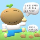 포테이토 헤이터