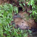 토산1리 이미지