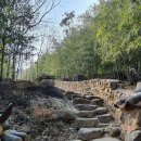 문학&생명관 이미지