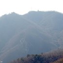 광주004 Daum카페