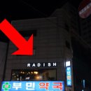던킨도너츠부민