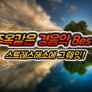 주옥 Daum카페