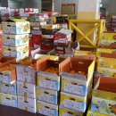 나누리청과 이미지