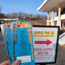 신라보석 | 26.01 경주 "신라 금관 특별전" 방문 후기 &amp; 관람 꿀팁 추천