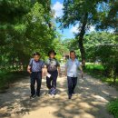 우후죽순(유) | 고양 • 파주 투어