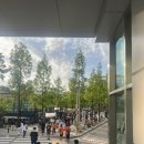 또봉이통닭 노고산점 | 29주차 임산부 야구 직관 후기 :: 고척돔 먹거리(또봉이통닭, 호시타코야끼), 외야 3루 425구역 시야