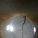 라비코리아 이미지