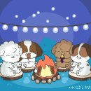 퍼피스프링 부천점 이미지