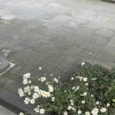 아날로그 우리집 이미지