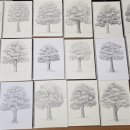 연필화 (중급) 이미지