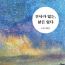 삶은책