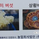 (주)아람미디어 이미지
