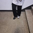 복수짜글이 | 비수기의 9월